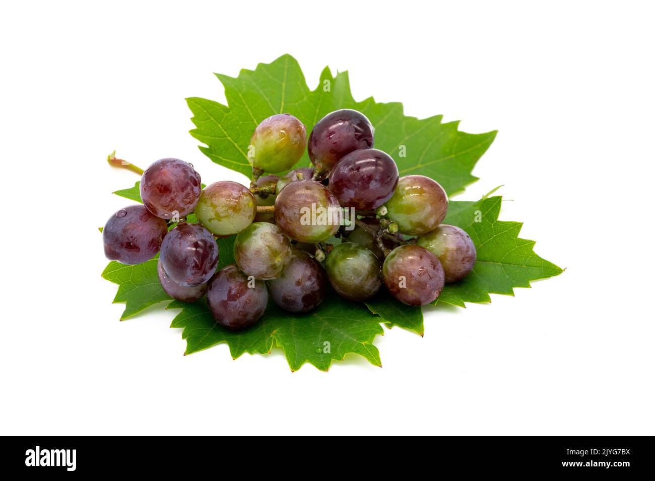 Red grapes isolated on white background Stock Photo