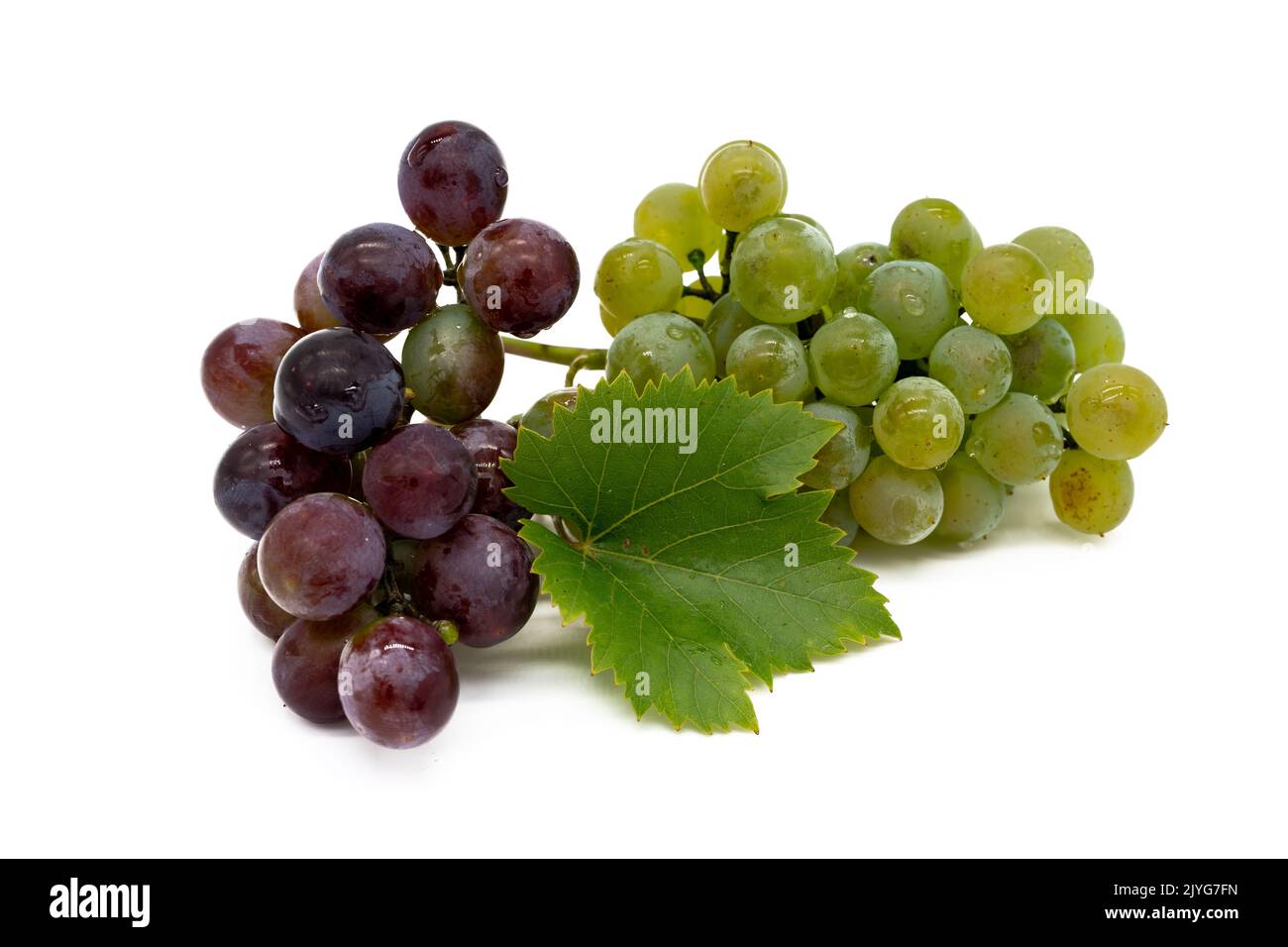 Red and White Grapes Isolated on White Background Stock Photo