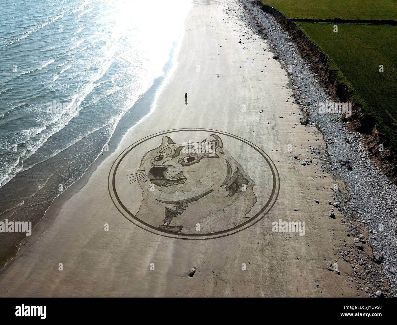 April 22 dogecoin mav hi-res stock photography and images - Alamy