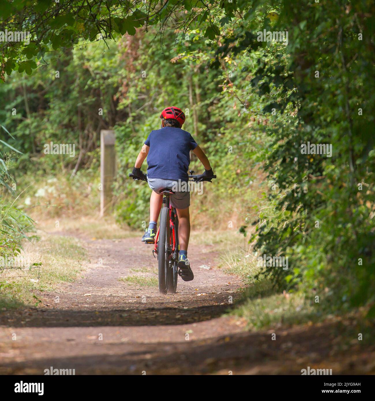 Rear view of boy on his bike cycling isolated along a rural, UK canal towpath wearing cycle helmet. Stock Photo