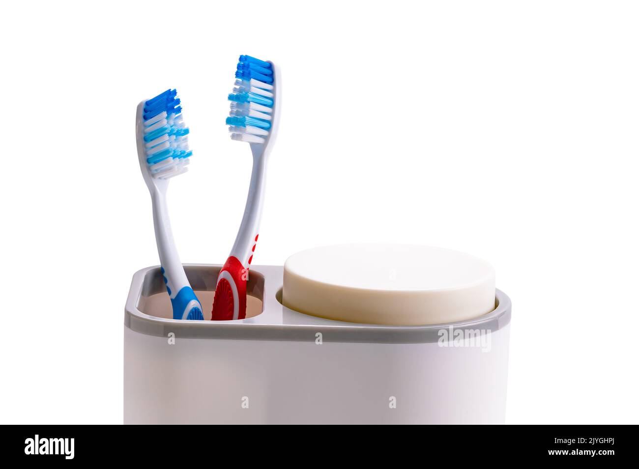New toothbrushes red and blue handle in plastic holder isolated on white background with clipping path. Stock Photo