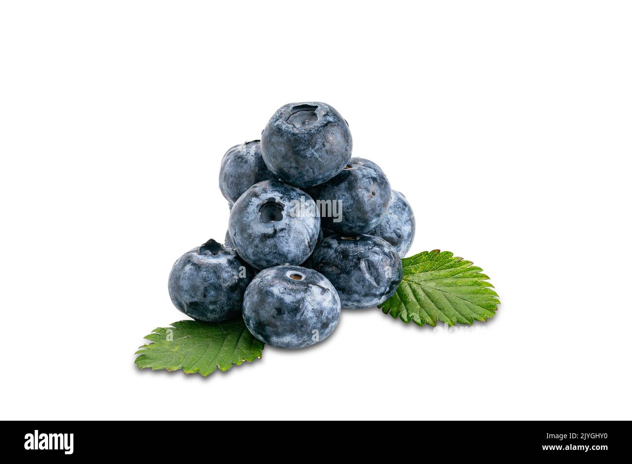 Pile of fresh blueberry and green leaves isolated on white background with clipping path. Stock Photo