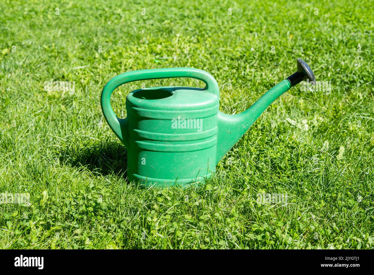 A large green plastic garden watering can in the green grass Stock Photo Alamy