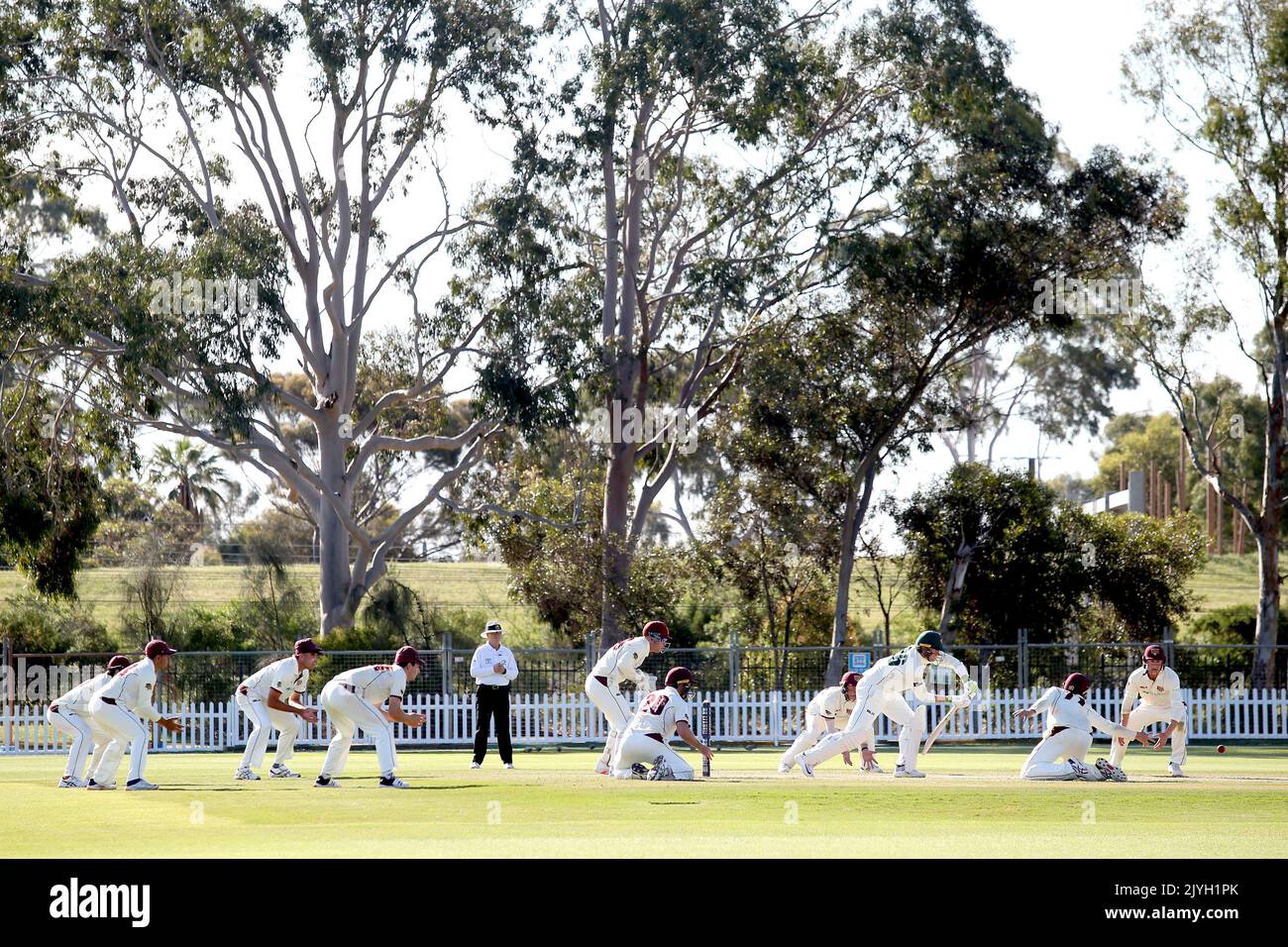 Peter Siddle of the Tasmanian Tigers bats during day 4 of the Round 1
