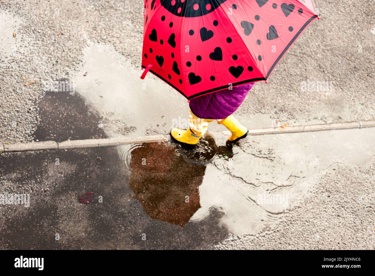 Fordingbridge, Hampshire, UK, 8th September 2022, Weather: Rain makes for a fun time for 3 year old Jemma as she splashes in puddles in colourful rainwear and an umbrella. Frequent showers give the south of England a soaking for a fourth day running. Paul Biggins/Alamy Live News Stock Photo