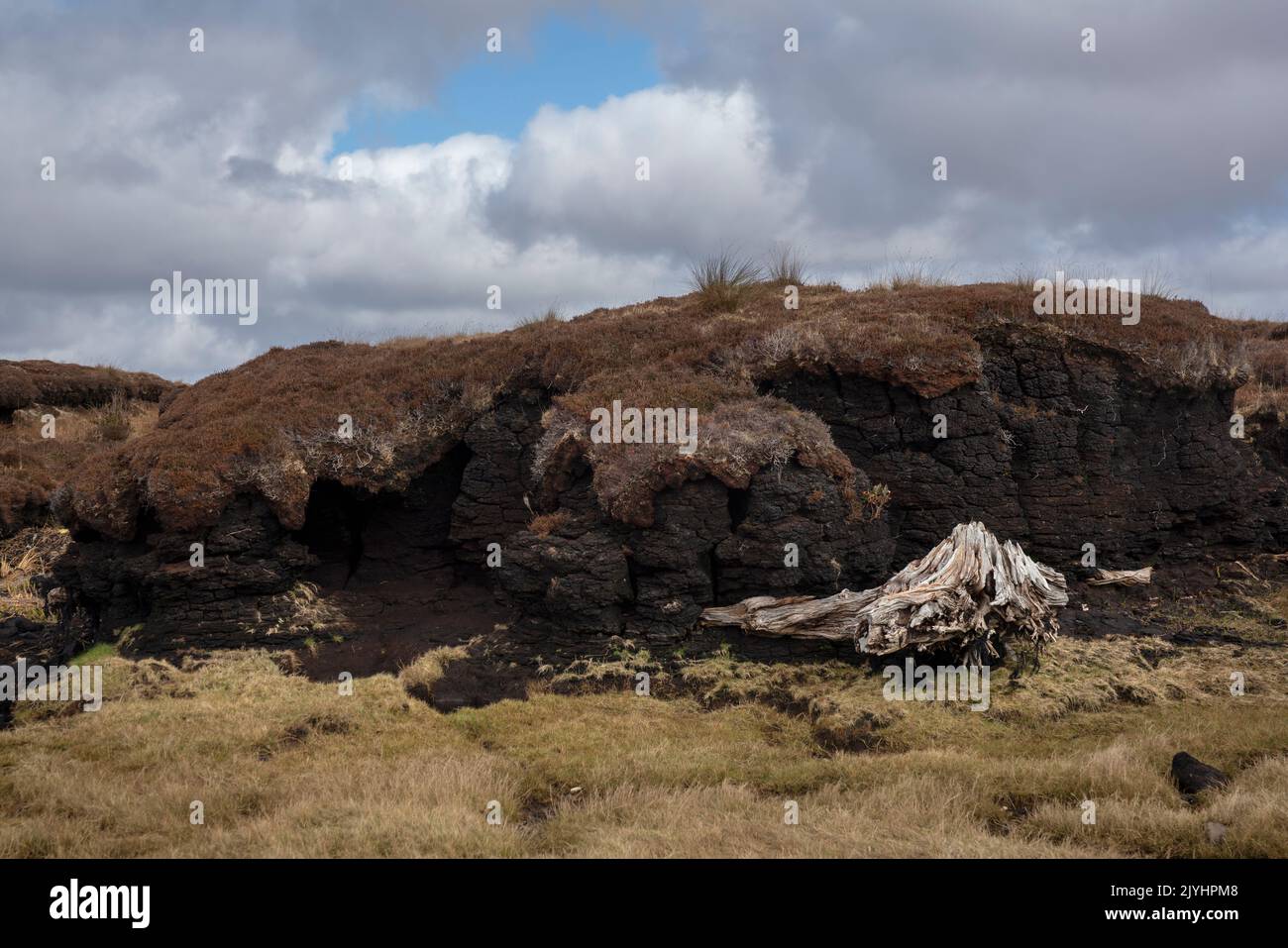 Peat soil washed away by the sea on the coast of north-west Ireland. Sometimes pieces of bogoak emerge from under the peat. Stock Photo