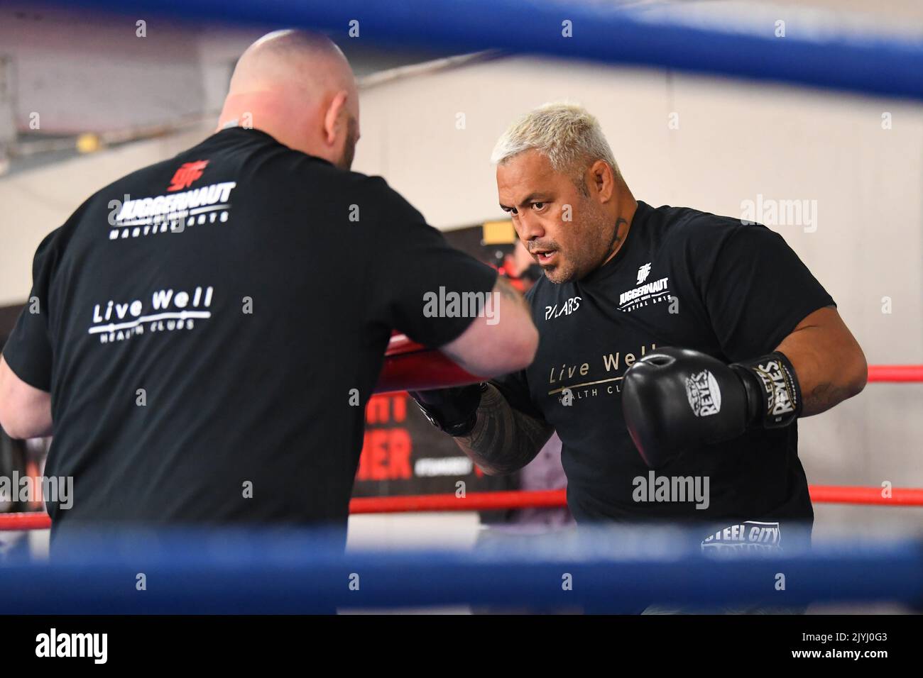 Paul Gallen vs Mark Hunt fight press conference