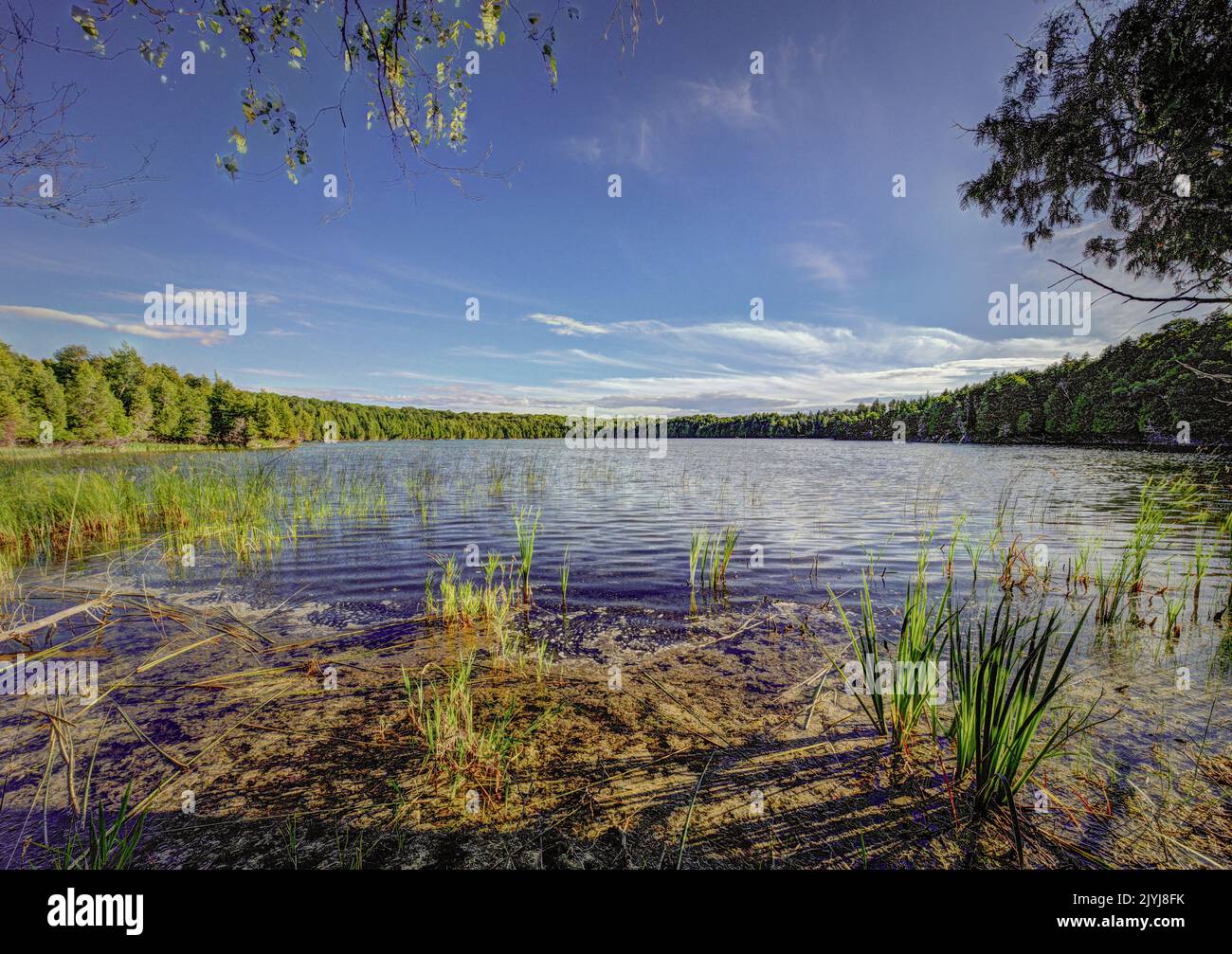 The Door County Land Trust is a land conservation organization that