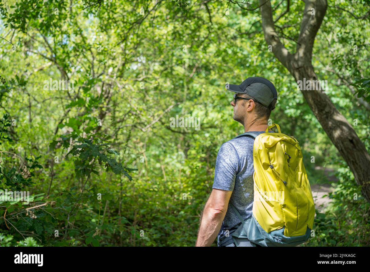 Side view of a male hiker wearing a cap sunglasses and a backpack walking through a UK woodland on a sunny, summer day. Stock Photo