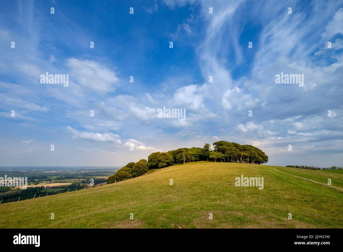 Chanctonbury Ring Chanctonbury Hill South Downs Susssex Stock Photo