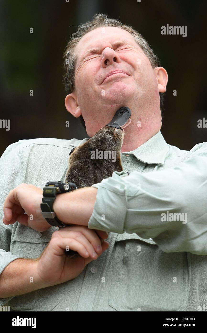 Taronga Zoo senior keeper Rob Dockerill holds Annie the Platypus during ...