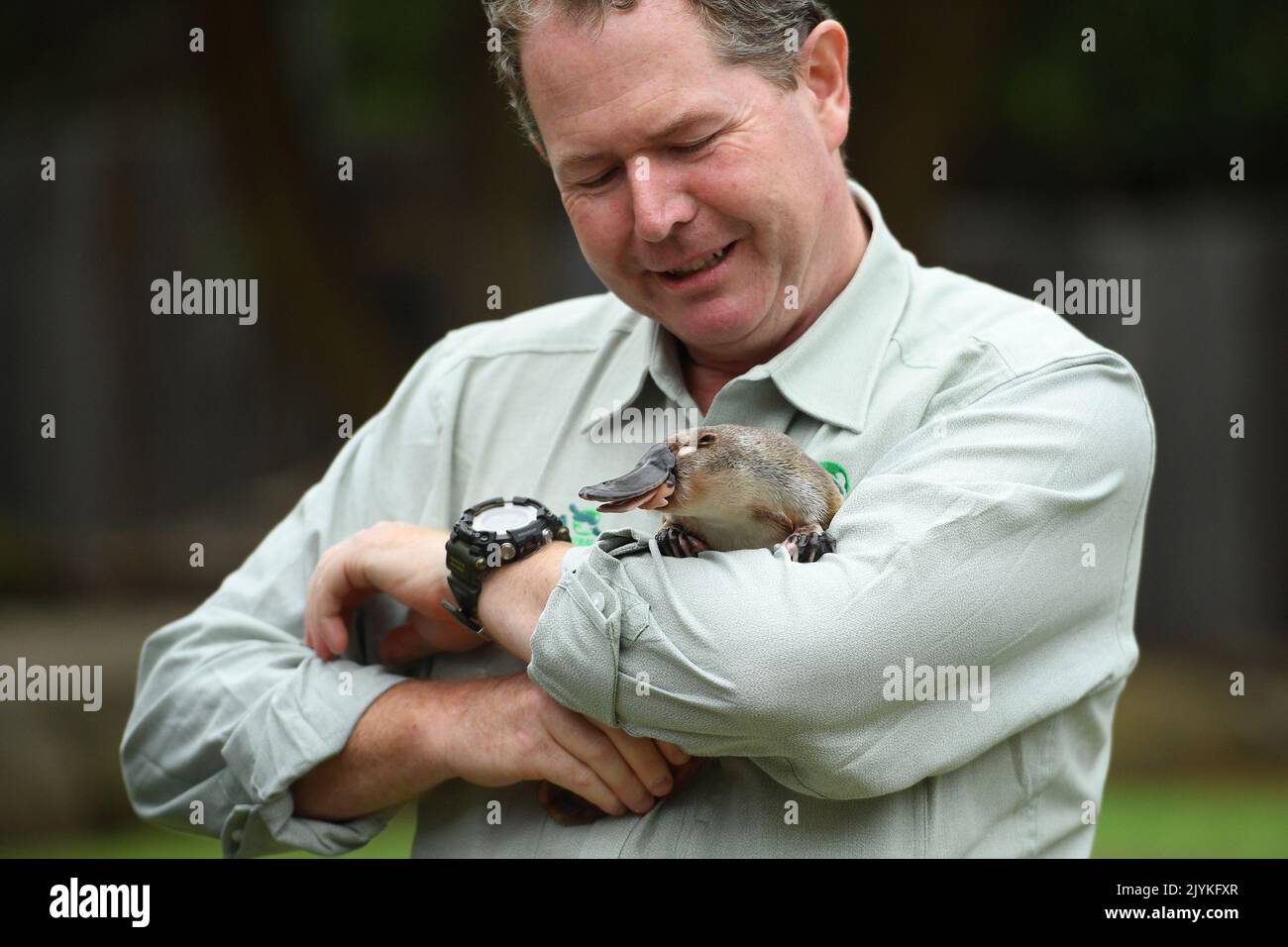 Taronga Zoo senior keeper Rob Dockerill holds Annie the Platypus during ...