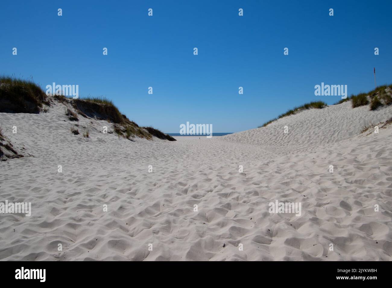 Dune landscape on the island of Amrum Stock Photo