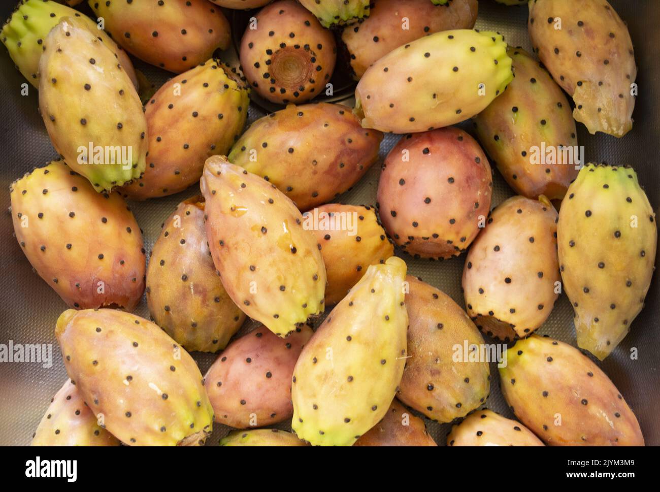 prickly pears with peel just collected Stock Photo