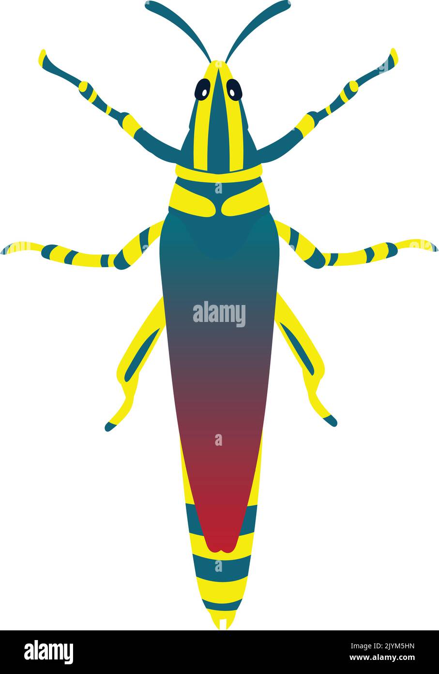 Grasshopper or Locust Vector Illustration Isolated on White Background. Stock Vector