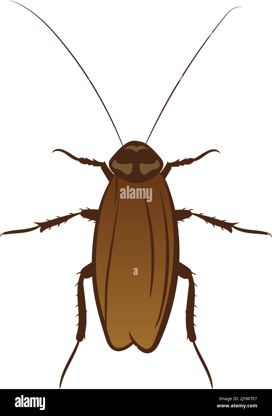 realistic-cockroaches-cartoon-vector-clipart-friendlystock-41-off