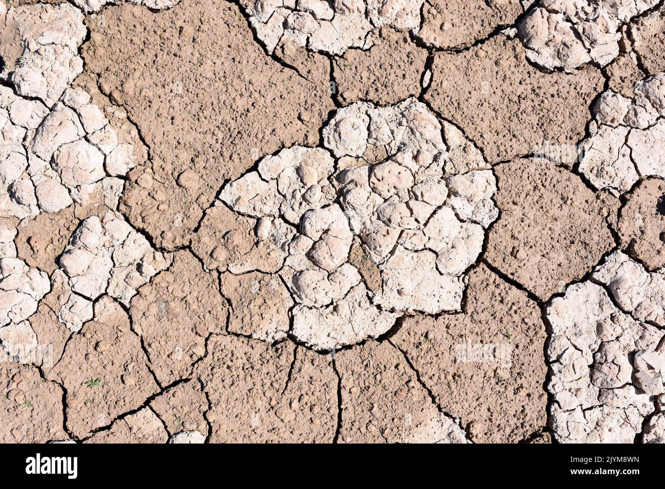 Tierra seca, cuarteada, debido a la sequía, producido por el cambio climático Stock Photo