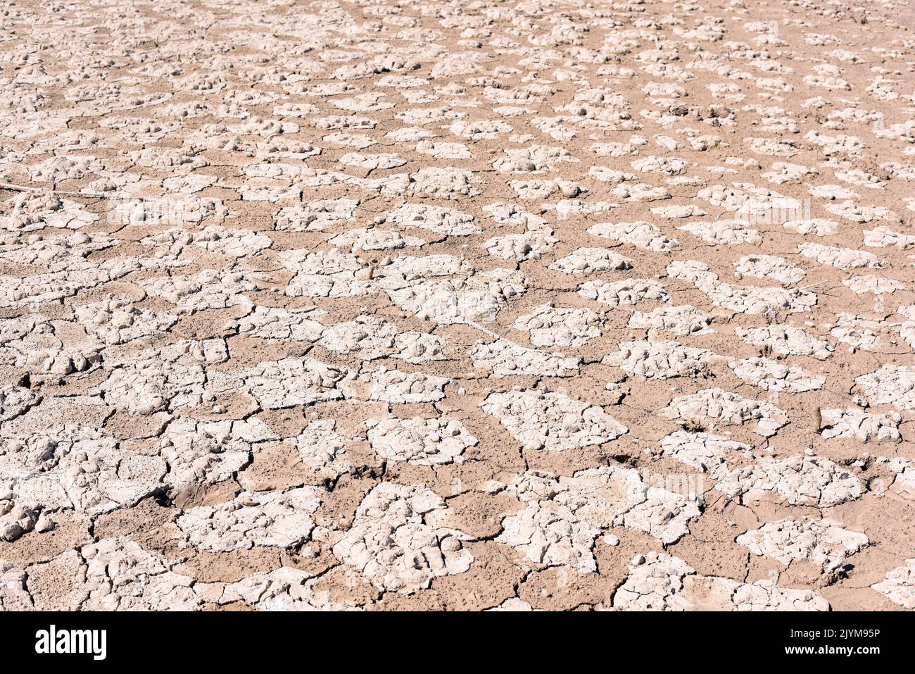 Tierra seca, cuarteada, debido a la sequía, producido por el cambio climático Stock Photo
