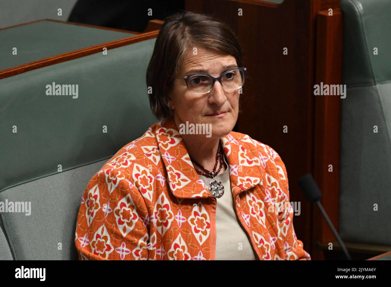 Labor member for Calwell Maria Vamvakinou during Question Time in the
