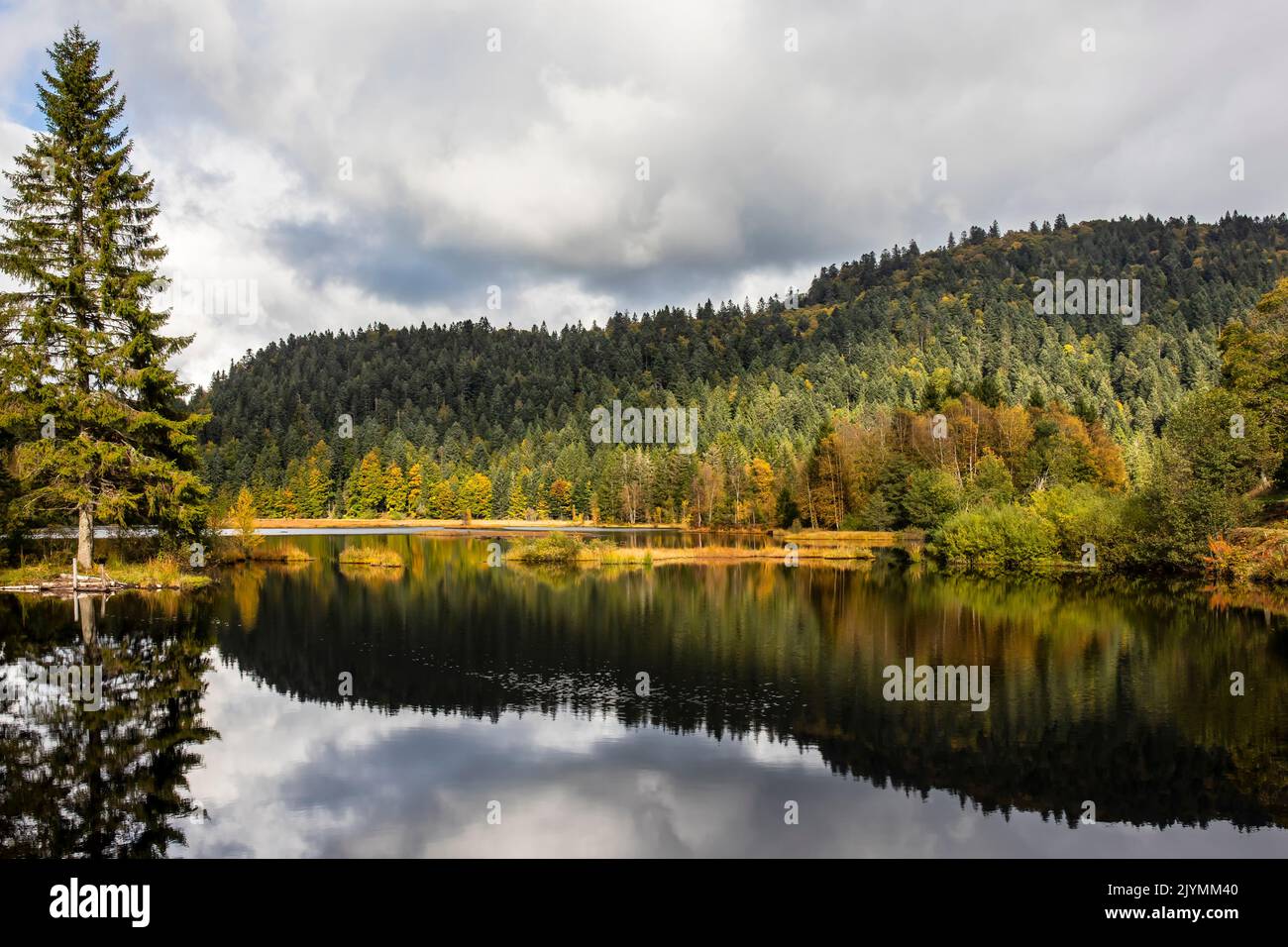 Landscape of the Lispach Lake in autumn, Surroundings of La Bresse, Vosges, France Stock Photo