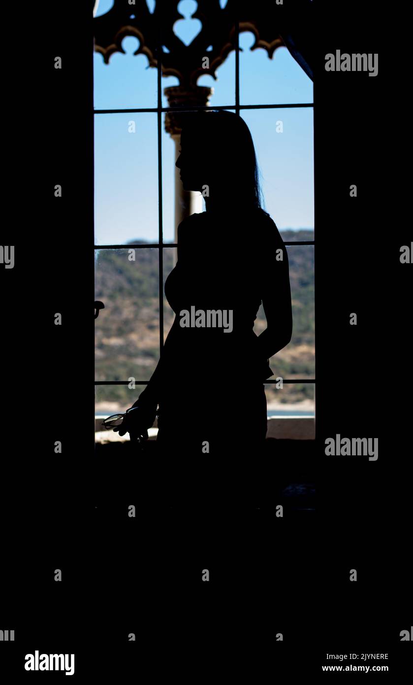 Silhouette of Woman stading in front of window looking to the horizon Stock Photo