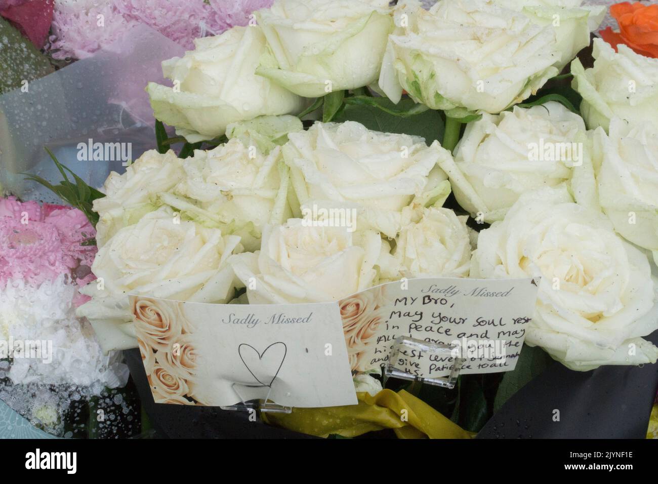 Kirkstall gardens hires stock photography and images Alamy