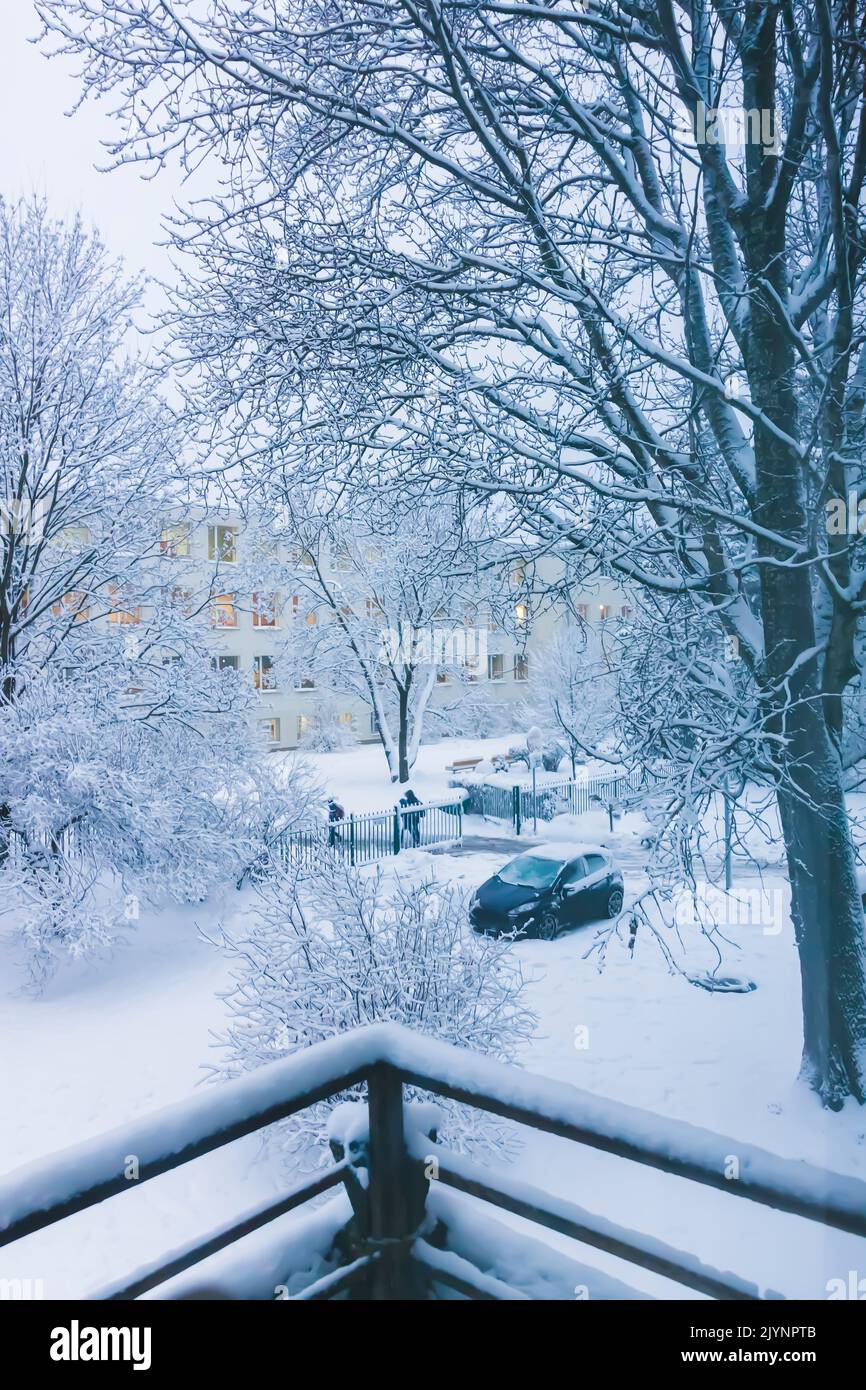 Snow-covered trees in urban park Stock Photo - Alamy