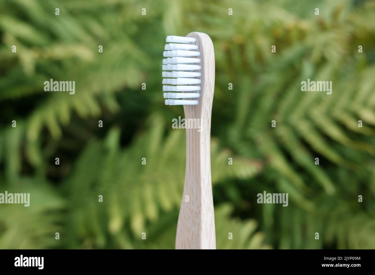 Biodegradable bamboo toothbrush on a blurred background of fern leaves. Environmental care concept. Stock Photo