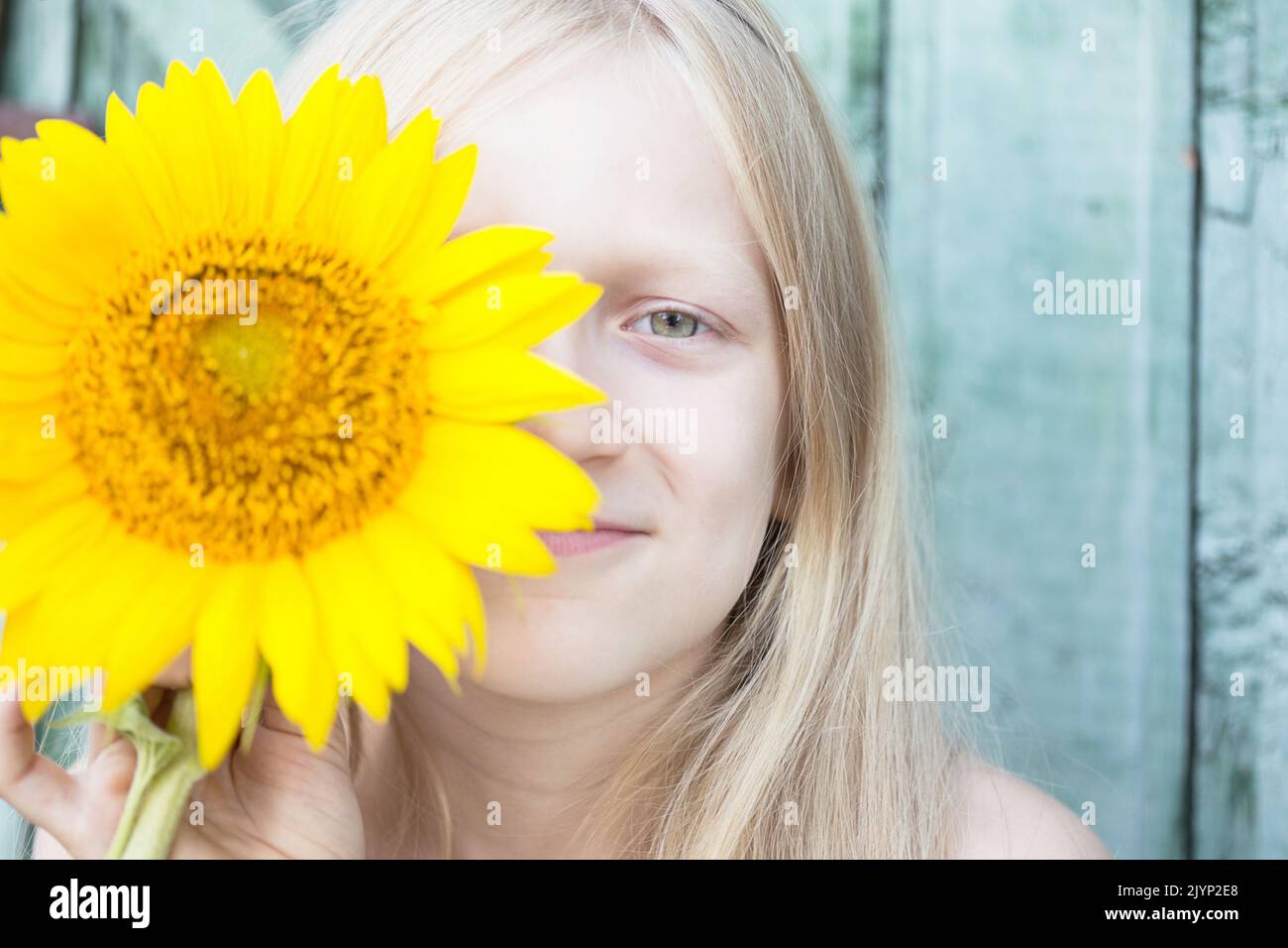 summer - portrait of a little smiling girl with a sunflower Stock Photo ...