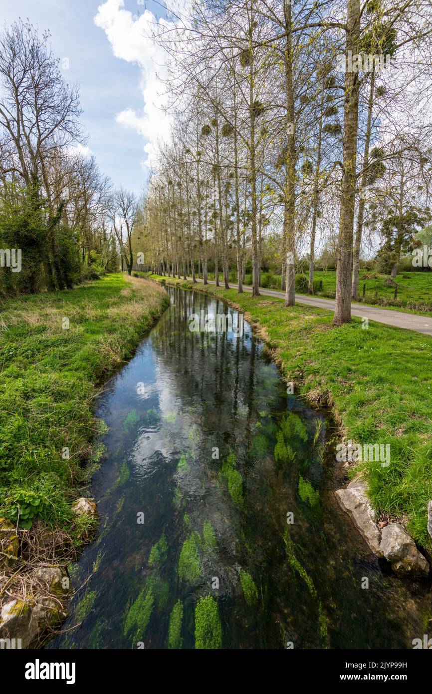 The Dien, river in the north-west of the Somme department, Noyelles sur mer, France Stock Photo