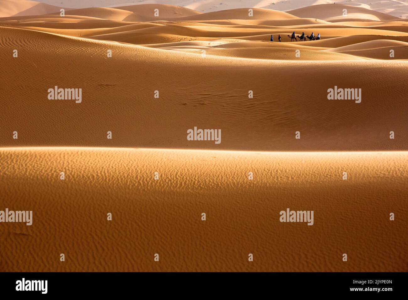 Sand dunes, Merzouga, Morocco, Sahara desert Stock Photo Alamy