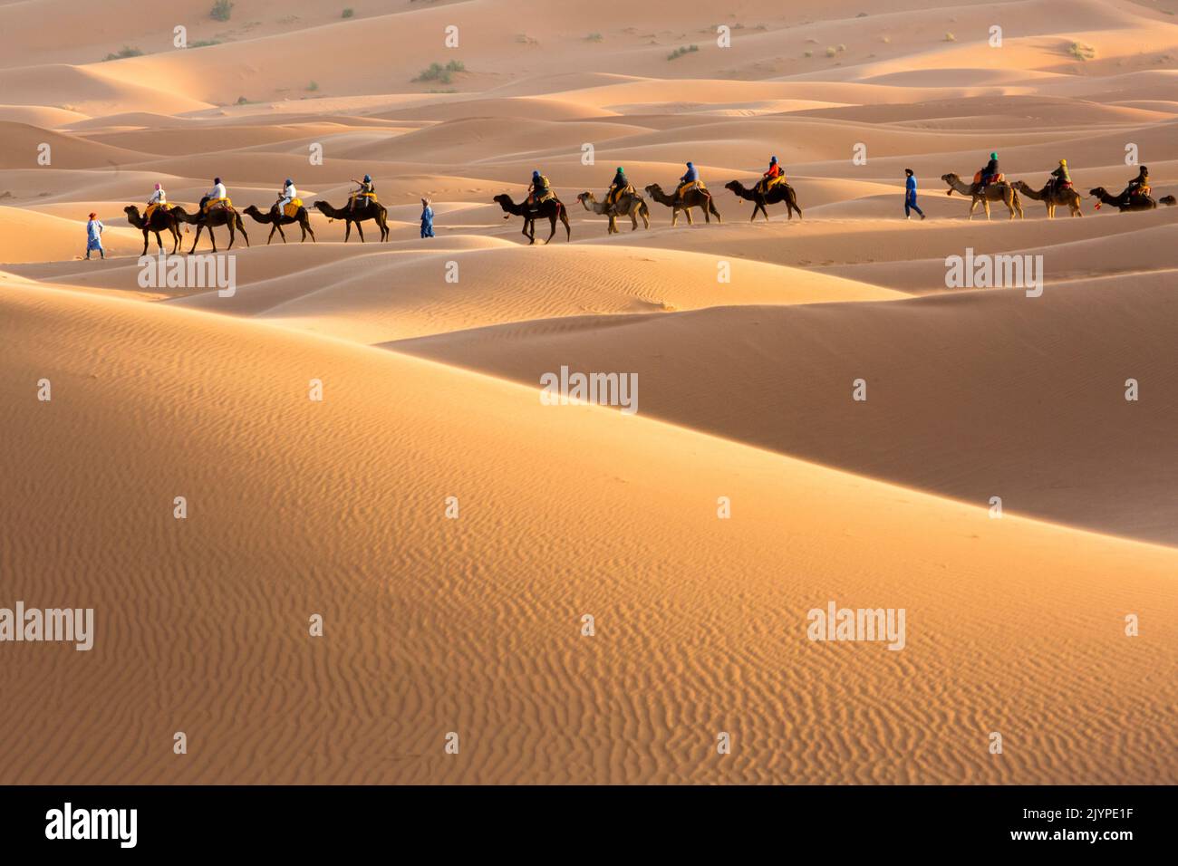 Sand dunes, Merzouga, Morocco, Sahara desert Stock Photo Alamy