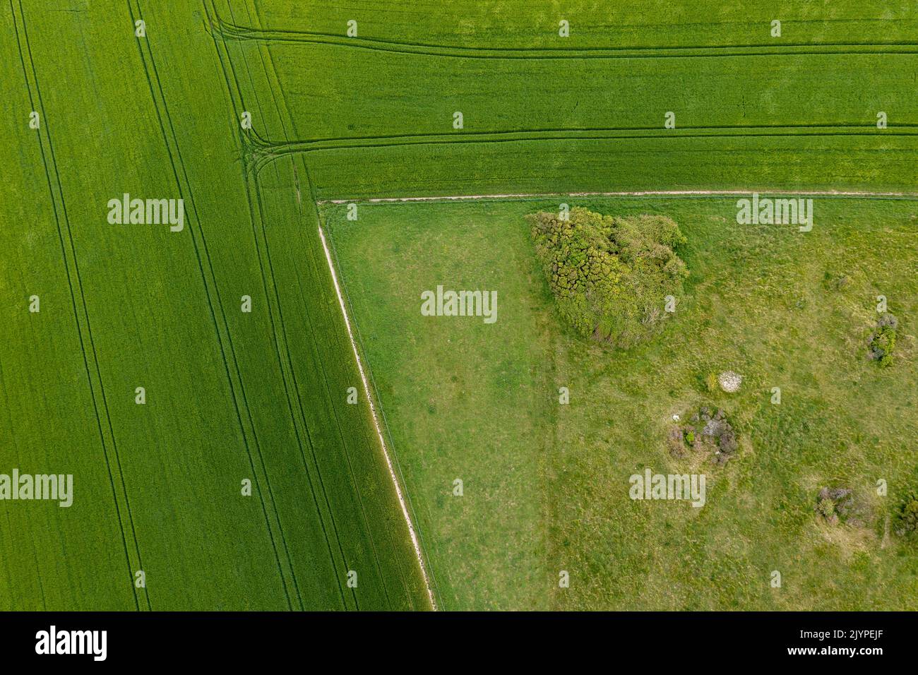 Cultivated fields and wasteland on the heights of Cap Blanc-nez, Opal Coast, Sangatte, Pas-de-Calais, France. The holes in the ground are bomb holes from the 2nd World War that the vegetation is colonising and becoming a refuge for biodiversity. Stock Photo