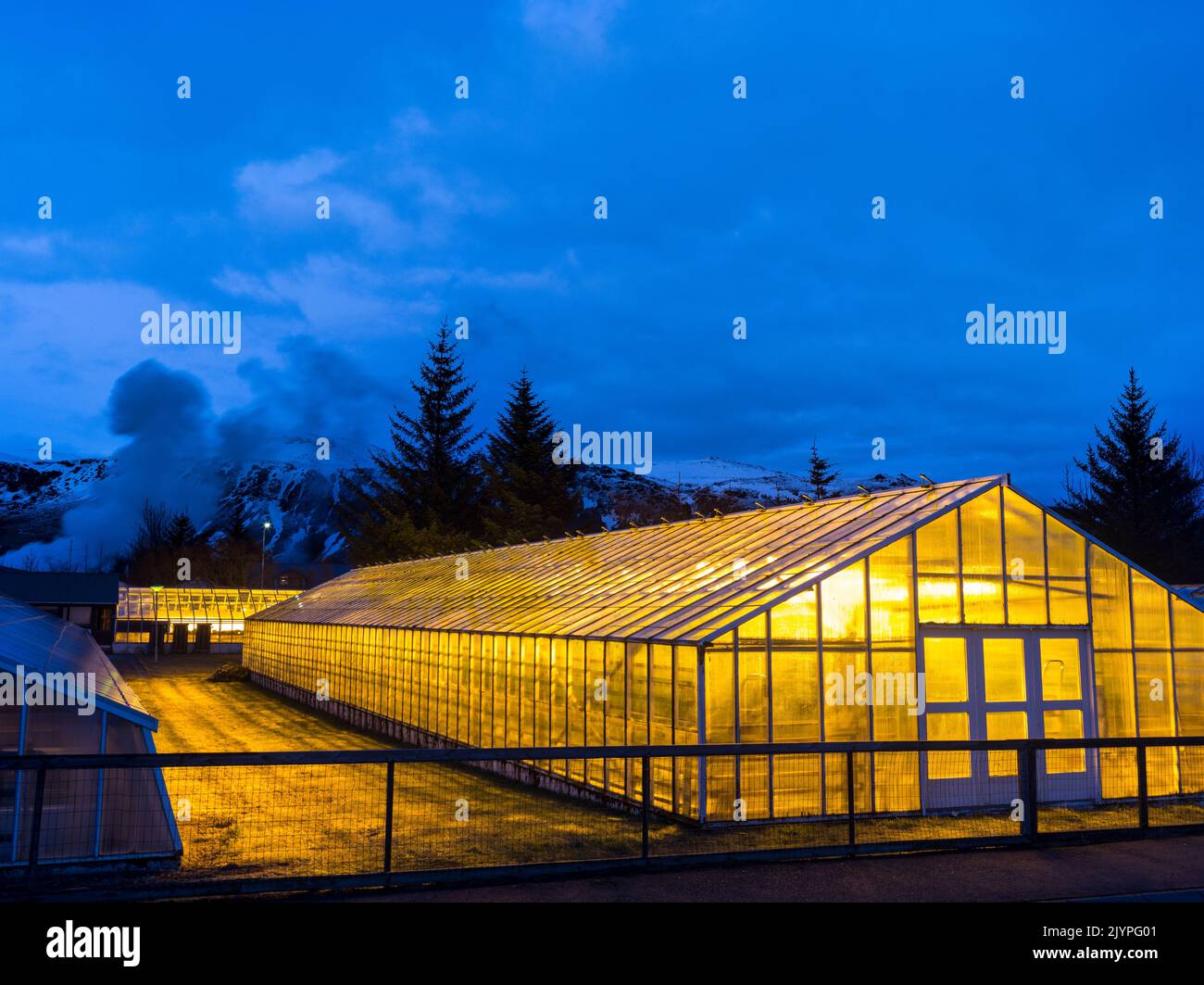 Greenhouse winter vegetables hires stock photography and images Alamy