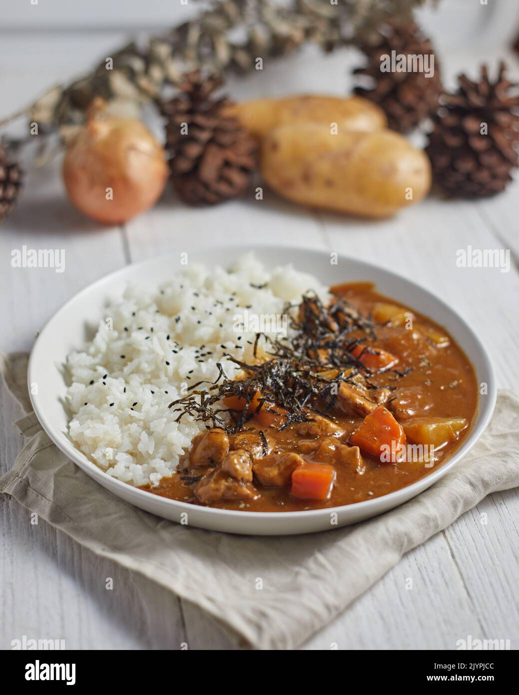homemade pork curry japanese style with rice, asian cuisine Stock Photo