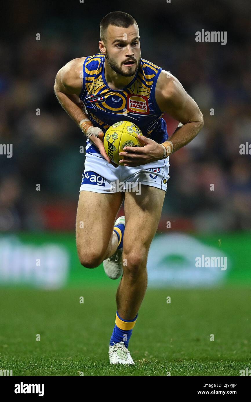 Josh Rotham Josh Rotham of the Eagles during the Round 12 AFL match between the ...
