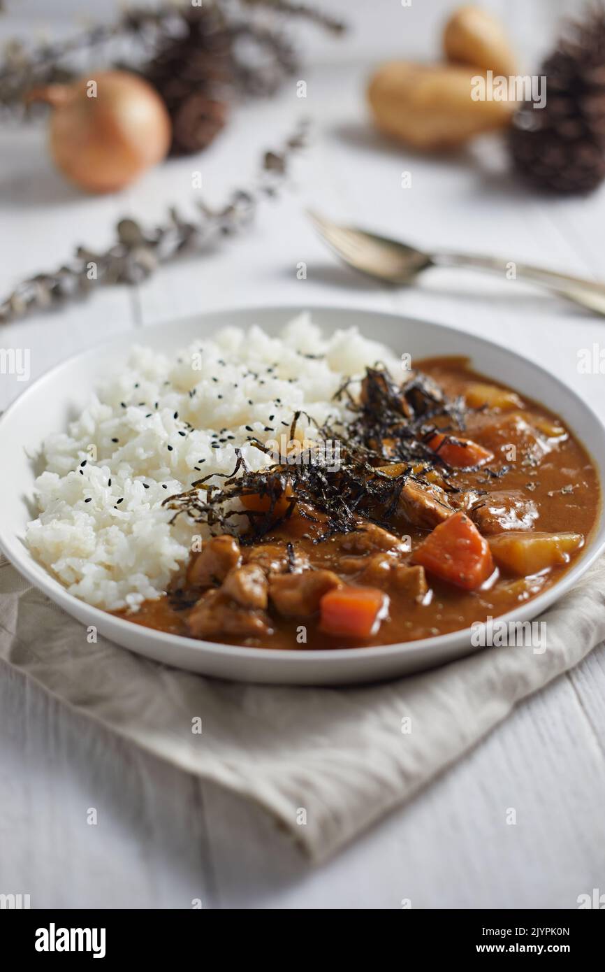 homemade pork curry japanese style with rice, asian cuisine Stock Photo