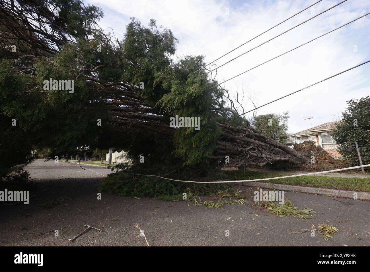 A fallen tree blocking a road is seen in Kilsyth, Melbourne, Tuesday ...