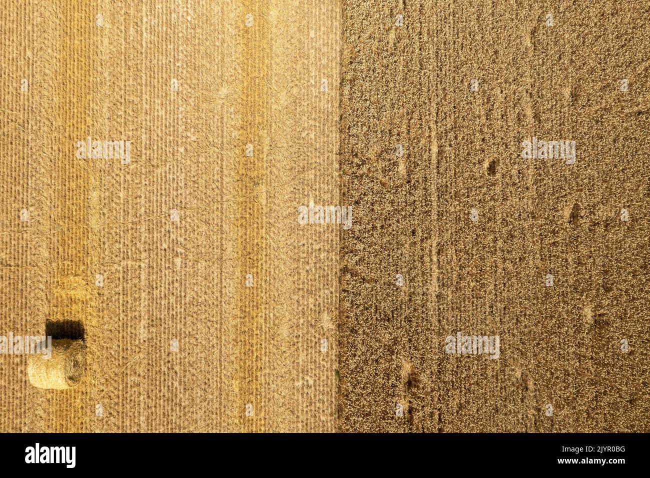 Partly harvested barley field seen from the sky in summer, Aisne, France Stock Photo