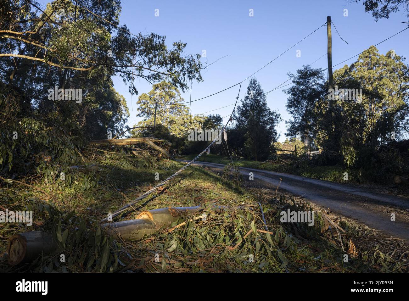 Fallen trees and damaged power lines are seen in Kalorama, Victoria ...