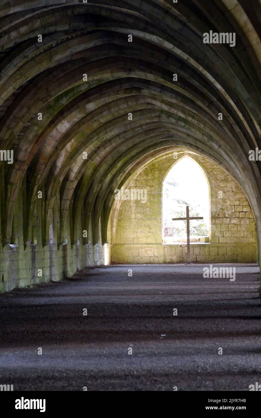 The Cross & Stone Arched Ceiling in the Cellarium (Food Storeroom) in Fountains Abbey and Studley Royal Water Garden, North Yorkshire, England, UK. Stock Photo