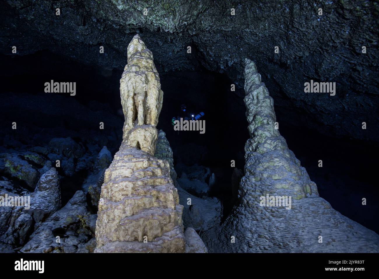Stalagmites, Underwater cave, Mayotte Stock Photo