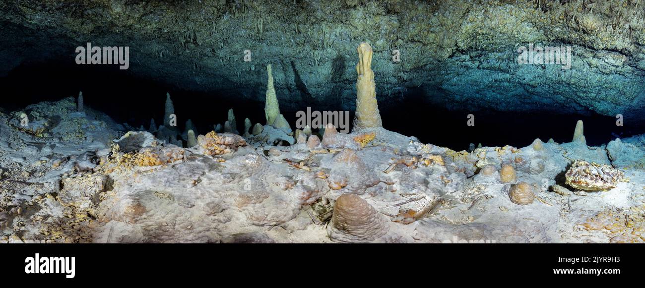 And in the middle, stalagmites. Panorama taken at a depth of 70 metres and 100 metres from the cave entrance. You can see the concretions in the foreground and some fragments of stalactites. Underwater cave, Mayotte Stock Photo