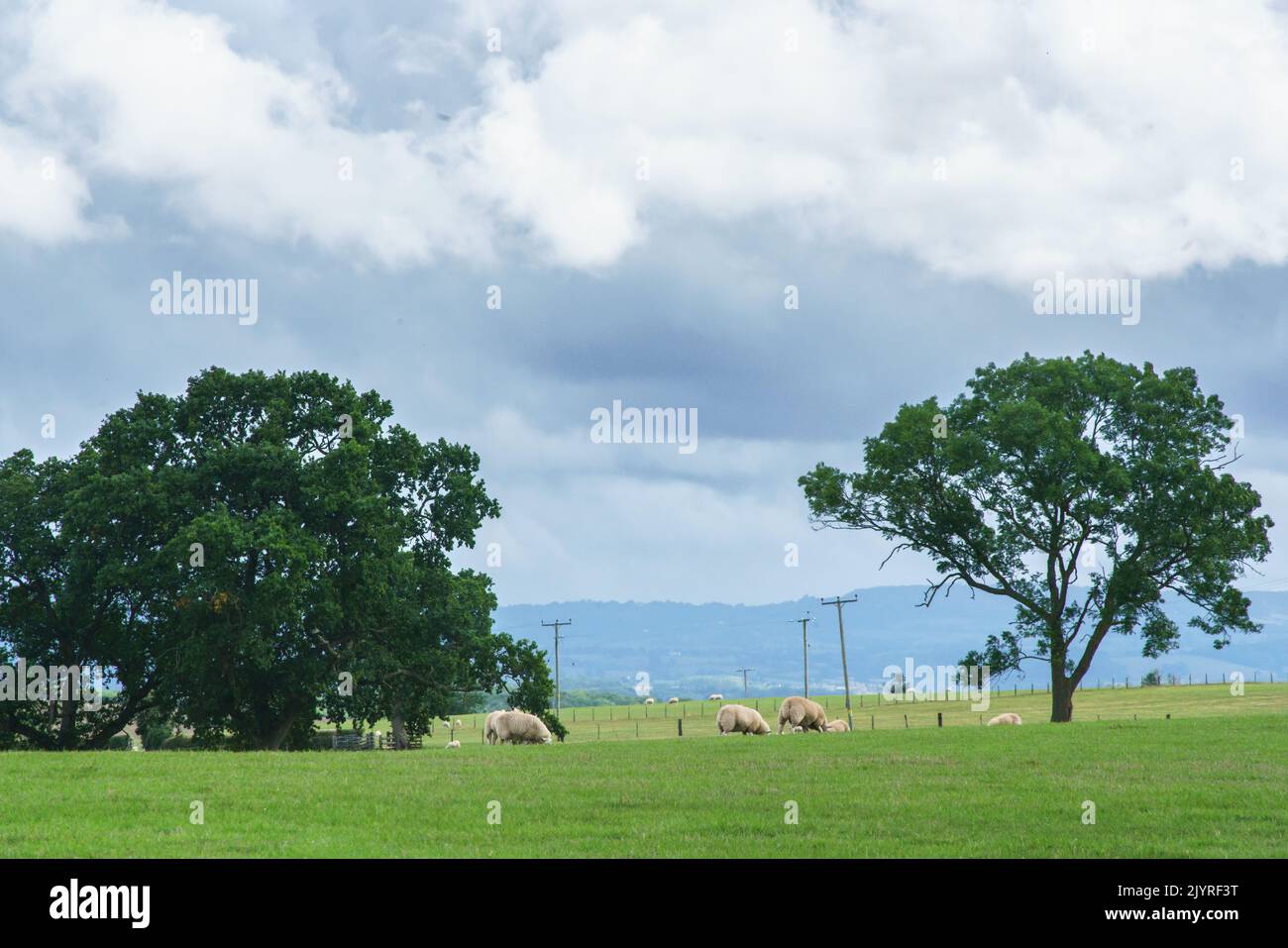 Abergavenny, Monmouthshire,September 8th 2022 WEATHER: Todays weather saw both showers and heavy rain, alongside periods of blustery wind, and sunshine breaking through the heavy clouds. Credit: Bridget Catterall/Alamy Live News Stock Photo