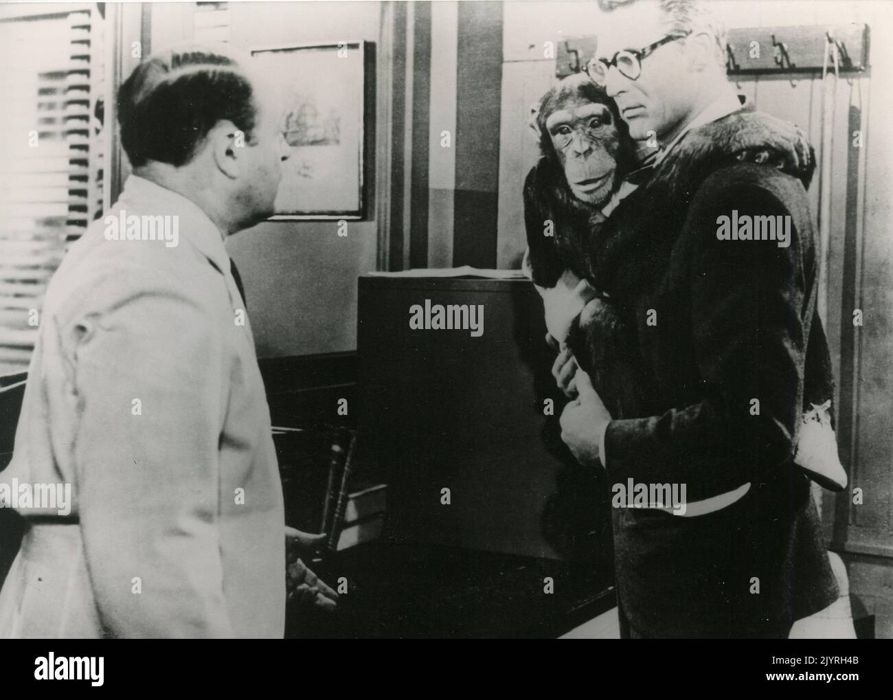 English-American actor Cary Grant (right) in the movie Monkey Business, USA 1952 Stock Photo