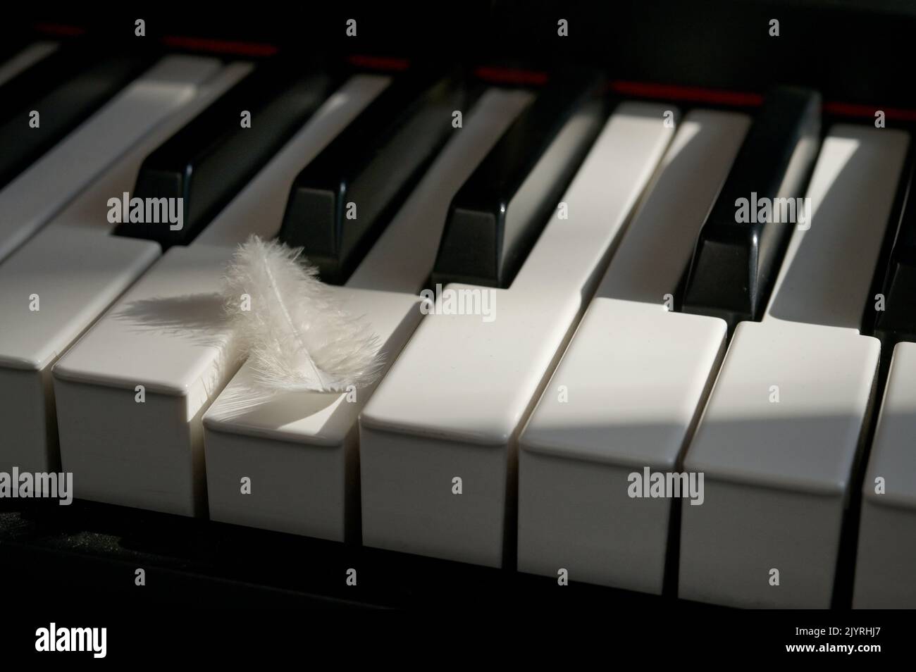 Soft White Feather touching keyboard of piano Stock Photo