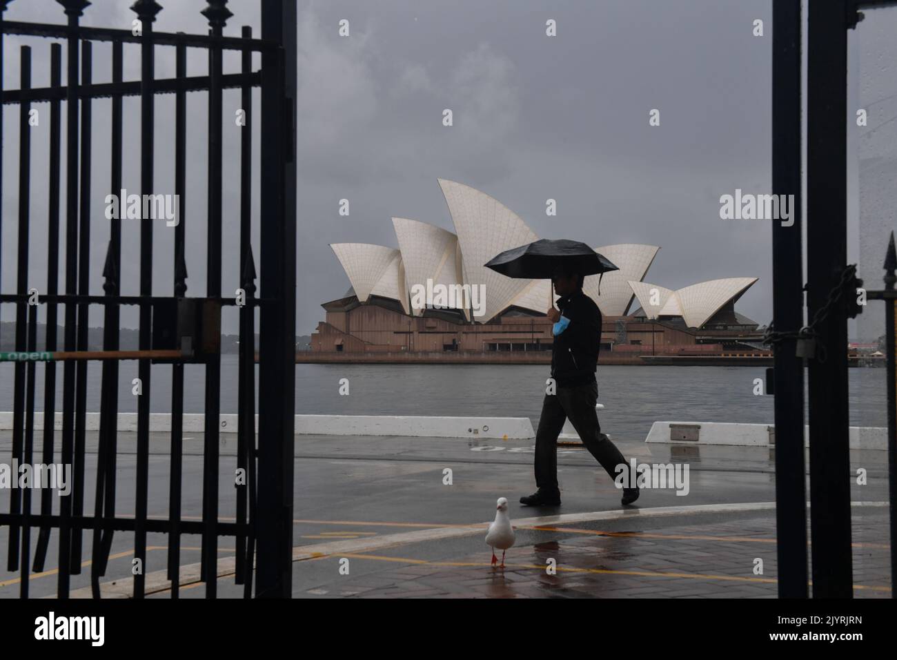 A pedestrian walks past the Sydney Opera House in Sydney, Saturday ...