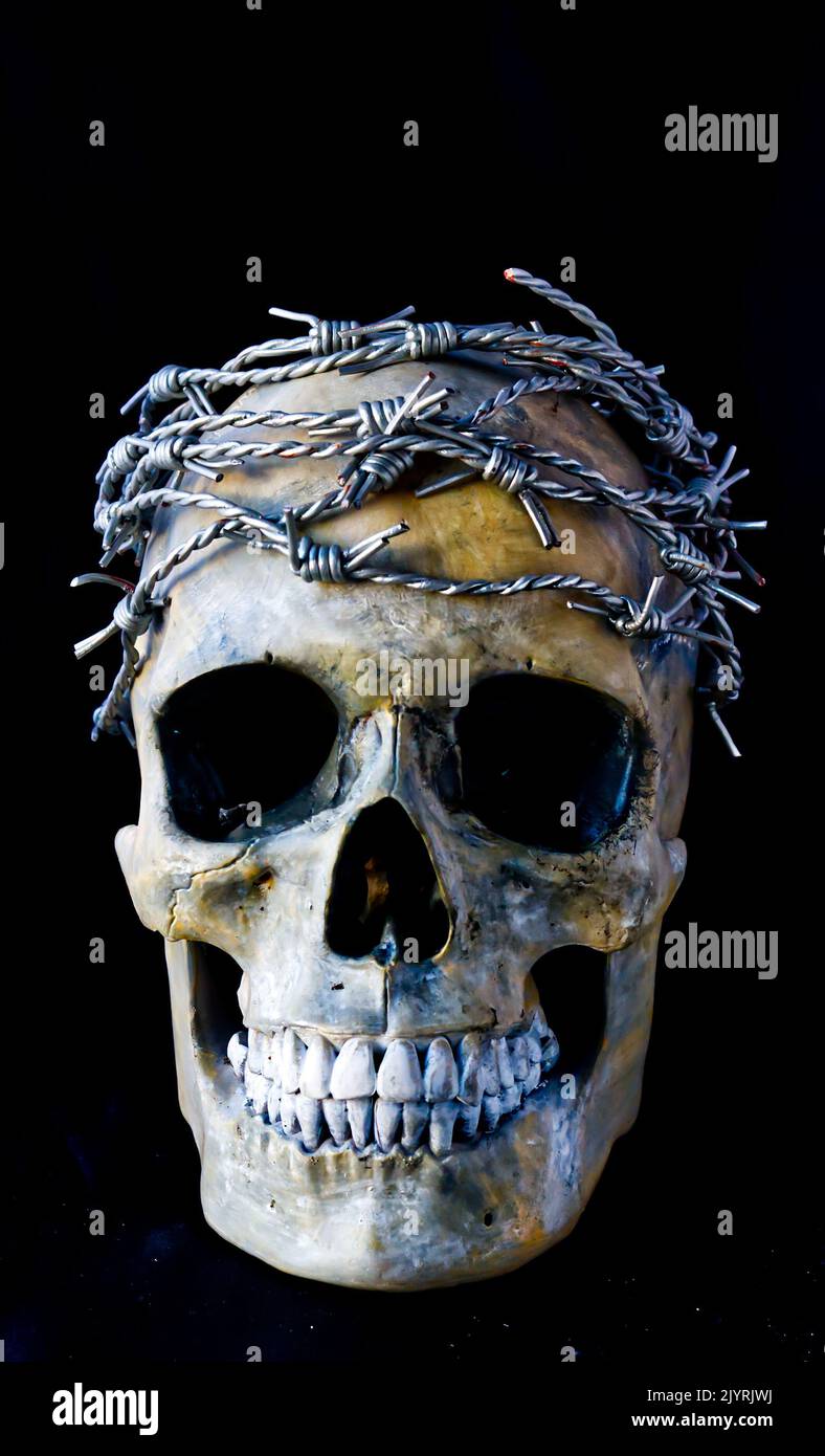 replica human skull with barb wire crown, modern crown of thorns. Stock Photo