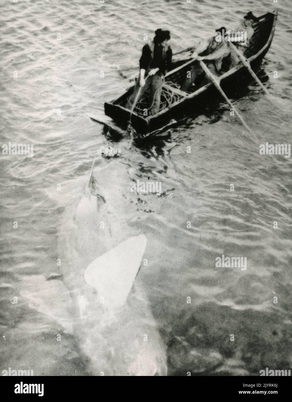 Man of aran 1934 hires stock photography and images Alamy