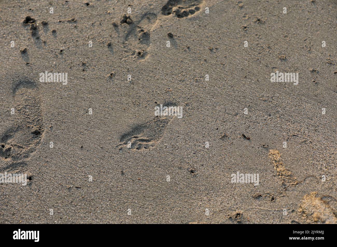 Footprint in the sand sandy beach Stock Photo